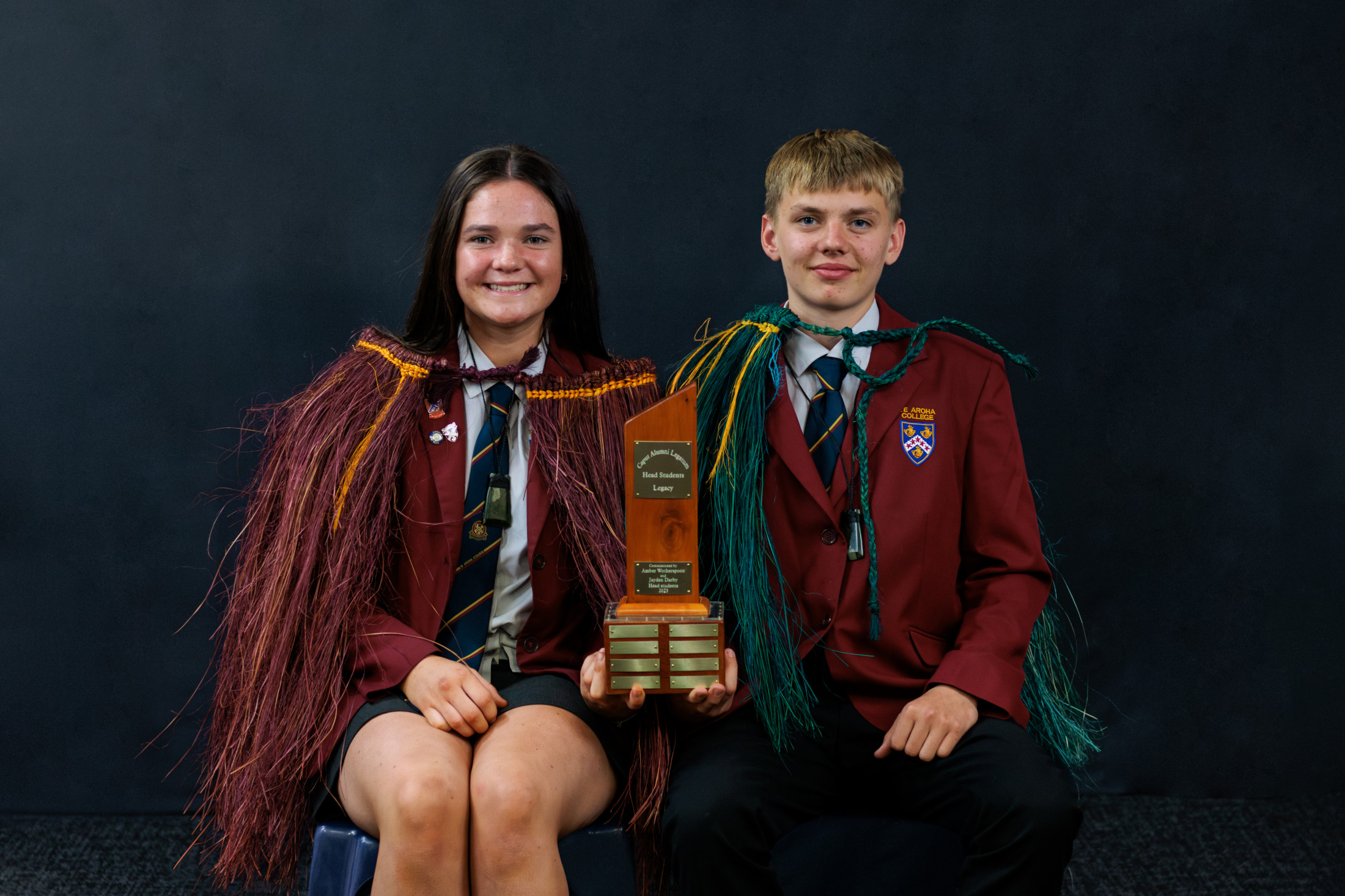 Arcu felis bibendum tristique